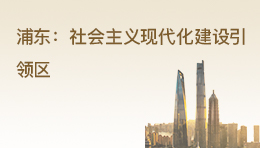 推進浦東新區高水平改革開放打造社會主義現代化建設引領區