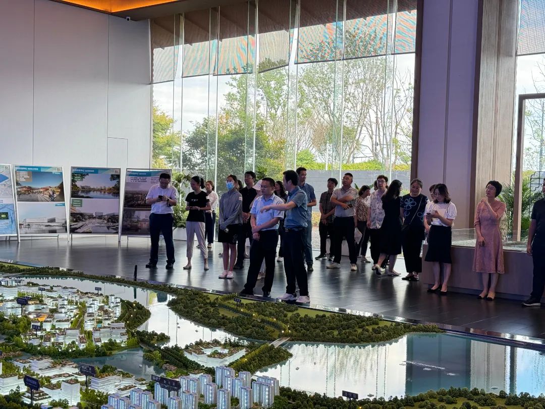 政府開放月活動：公眾走近示范區，感受青浦蓬勃發展.jpg