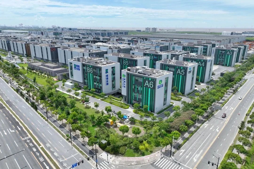 臨港新片區生命科技產業園.jpeg