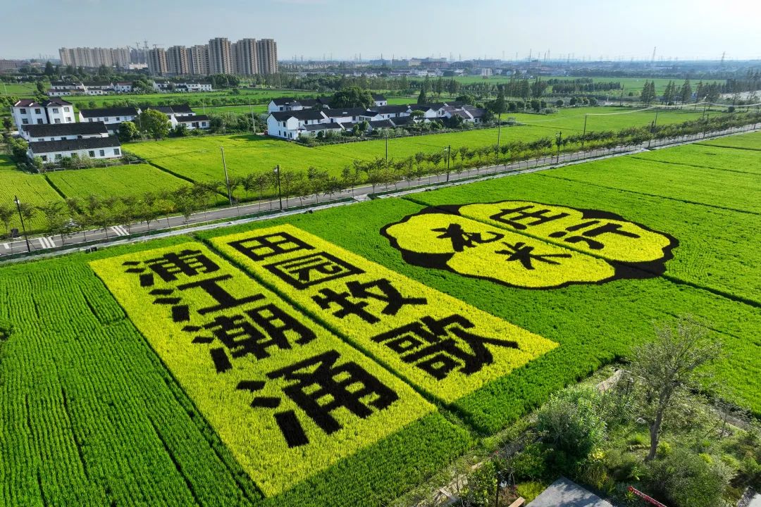 高品質保障和改善民生.jpeg