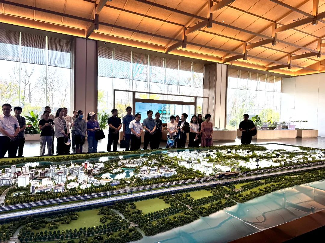 政府開放月活動：公眾走近示范區，感受青浦蓬勃發展 .jpg