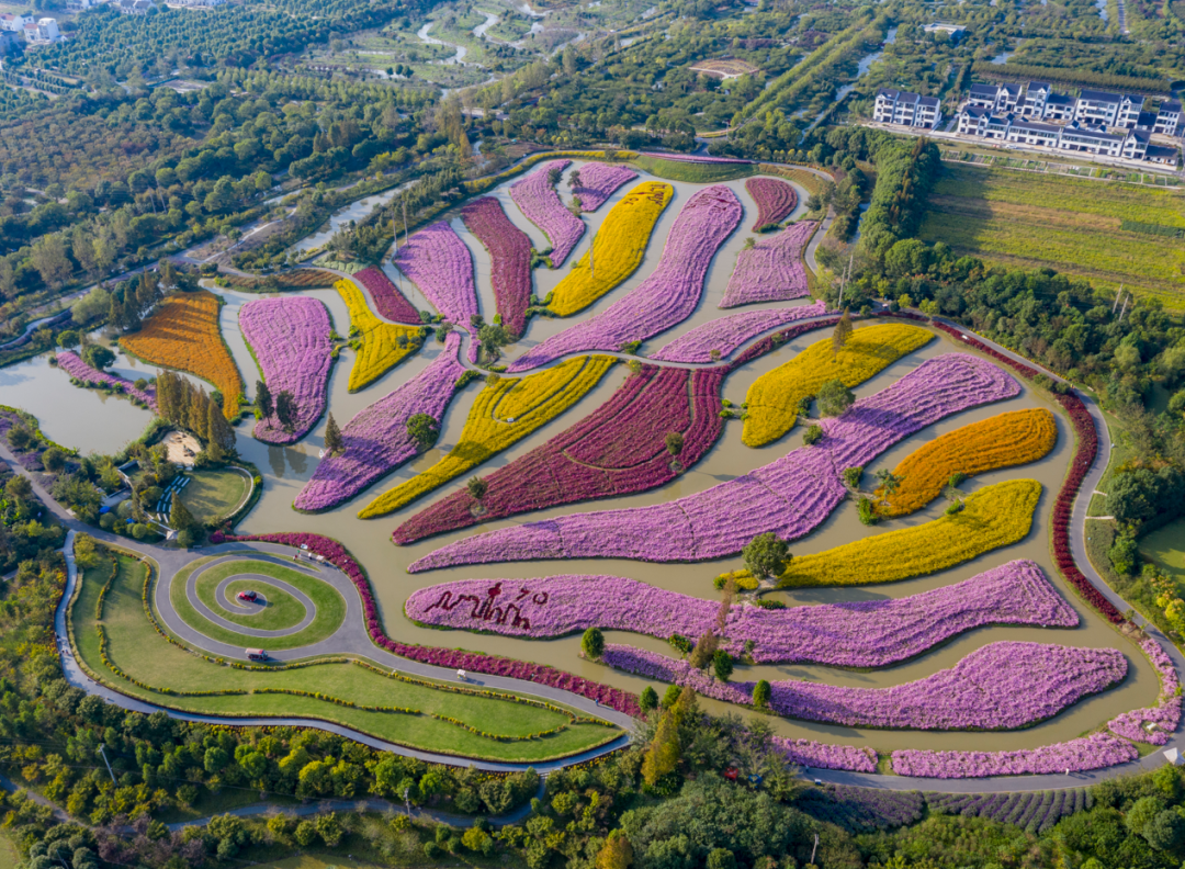 花開海上生態園.png