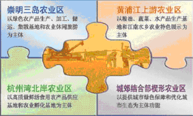 上海市國民經濟和社會發展第十一個五年規劃綱要（三）